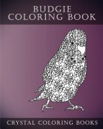 Budgie Coloring Book For Adults: 30 Hand drawn Doodle and Folk Art Style Budgerigar Coloring Pages.