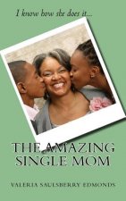 The Amazing Single Mom: I know how she does it
