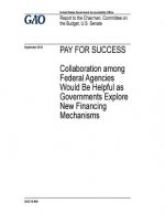 Pay for success, collaboration among federal agencies would be helpful as governments explore new financing mechanisms: report to the Chairman, Commit