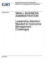 Small Business Administration, leadership attention needed to overcome management challenges: report to congressional requesters.