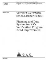 Veteran-owned small businesses: planning and data system for VAs Verification Program need improvement: report to congressional requesters.