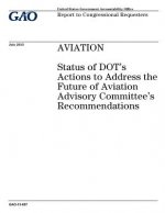 Aviation: status of DOTs actions to address the Future of Aviation Advisory Committees recommendations: report to congressional