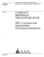 Conflict minerals disclosure rule: SECs actions and stakeholder-developed initiatives: report to congressional committees.