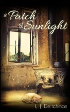 A Patch of Sunlight
