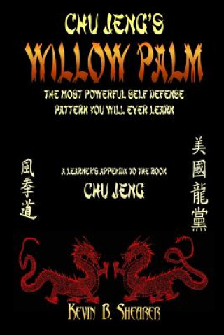 Willow Palm: The Most Powerful Self Defense Pattern You Will Ever Learn