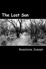The Lost Son