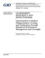 Government efficiency and effectiveness: opportunities to reduce fragmentation, overlap, and duplication through enhanced performance management and o