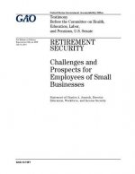 Retirement security: challenges and prospects for employees of small businesses: testimony before the Committee on Health, Education, Labor