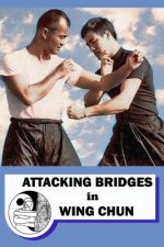 Attacking bridges in Wing Chun