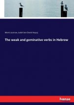 weak and geminative verbs in Hebrew