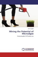 Mining the Potential of Microalgae