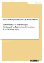 Instrumente der Bilanzanalyse. Erfolgsanalyse, Ergebnisquellenanalyse, Rentabilitätsanalyse
