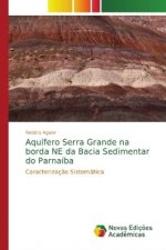 Aquifero Serra Grande na borda NE da Bacia Sedimentar do Parnaiba