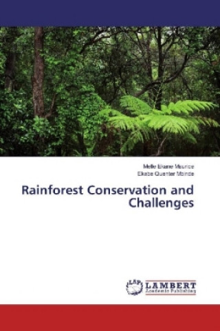 Rainforest Conservation and Challenges