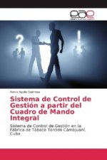 Sistema de Control de Gestion a partir del Cuadro de Mando Integral