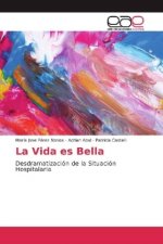 Vida es Bella