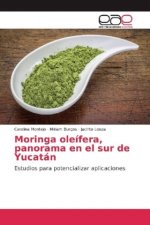 Moringa oleifera, panorama en el sur de Yucatan