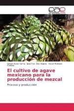 cultivo de agave mexicano para la produccion de mezcal