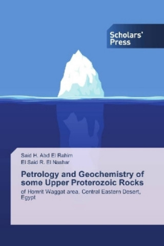 Petrology and Geochemistry of some Upper Proterozoic Rocks