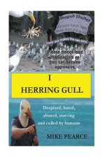 I Herring Gull: Despised, hated, abused, starving and culled by humans