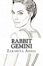 Rabbit Gemini: The Combined Astrology Series