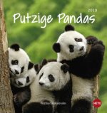 Putzige Pandas 2019