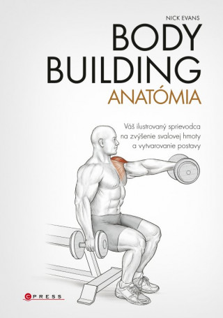 Bodybuilding Anatómia