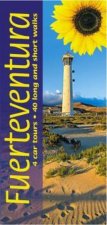 Fuerteventura Sunflower Guide
