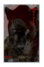 Eternal Panther