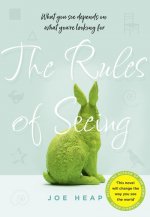 RULES OF SEEING EX AI TPB