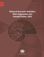 National accounts statistics 2016