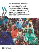 Addressing forced displacement through development planning and co-operation