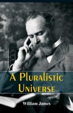 Pluralistic Universe