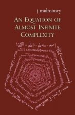 Equation of Almost Infinite Complexity