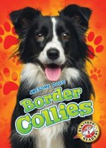 Border Collies