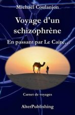 Voyage d'un schizophr?ne: En passant par Le Caire ...