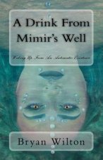 Drink from Mimir's Well