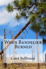 When Bandelier Burned