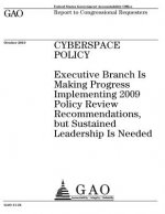 Cyberspace policy: Executive Branch is making progress implementing 2009 policy review recommendations, but sustained leadership is neede