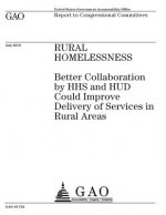 Rural homelessness: better collaboration by HHS and HUD could improve delivery of services in rural areas: report to congressional committ