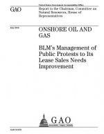 Onshore oil and gas: BLMs management of public protests to its lease sales needs improvement: report to the Chairman, Committee on Natural