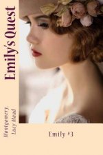 Emily's Quest: Emily #3