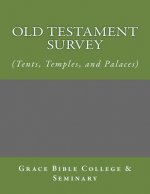 Old Testament Survey - (Tents, Temples, and Palaces)