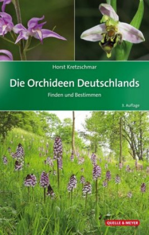 Die Orchideen Deutschlands