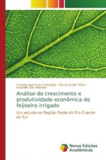 Analise do crescimento e produtividade economica do feijoeiro irrigado