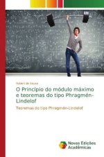 O Principio do modulo maximo e teoremas do tipo Phragmen-Lindelof
