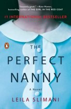 Perfect Nanny