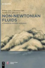 Non-Newtonian Fluids