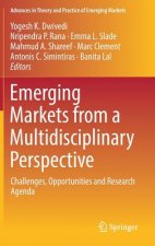 Emerging Markets from a Multidisciplinary Perspective