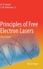 Principles of Free Electron Lasers